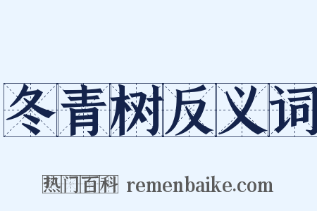 冬青树反义词是什么意思的图片